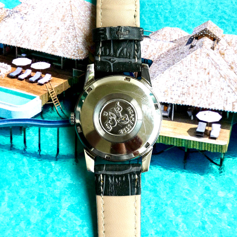 Omega Seamaster 166.009